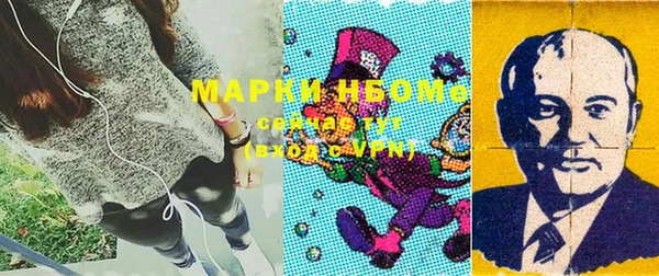 хмурый Зеленокумск