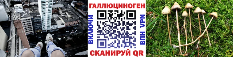 где найти   Красноуральск  ОМГ ОМГ сайт  Псилоцибиновые грибы Psilocybine cubensis 